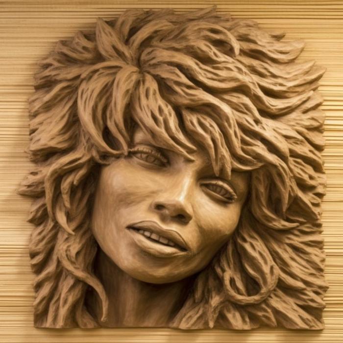 Tina Turner 2